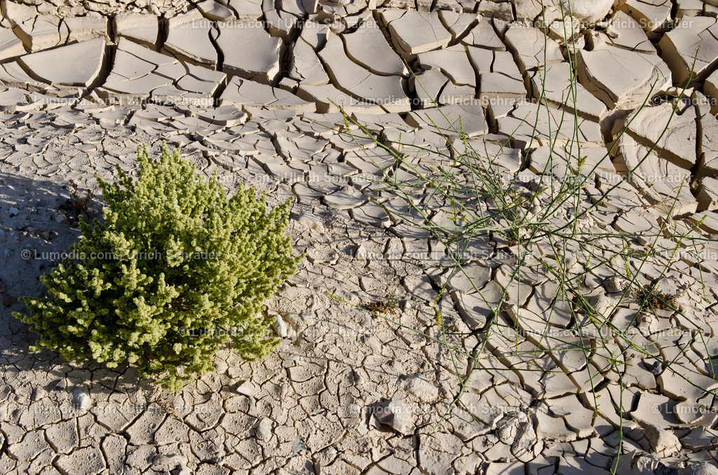 10972-10367 - Negev-Wüste _ Israel | max. Bildgröße A3 | 300dpi - Realisiert mit Pictrs.com