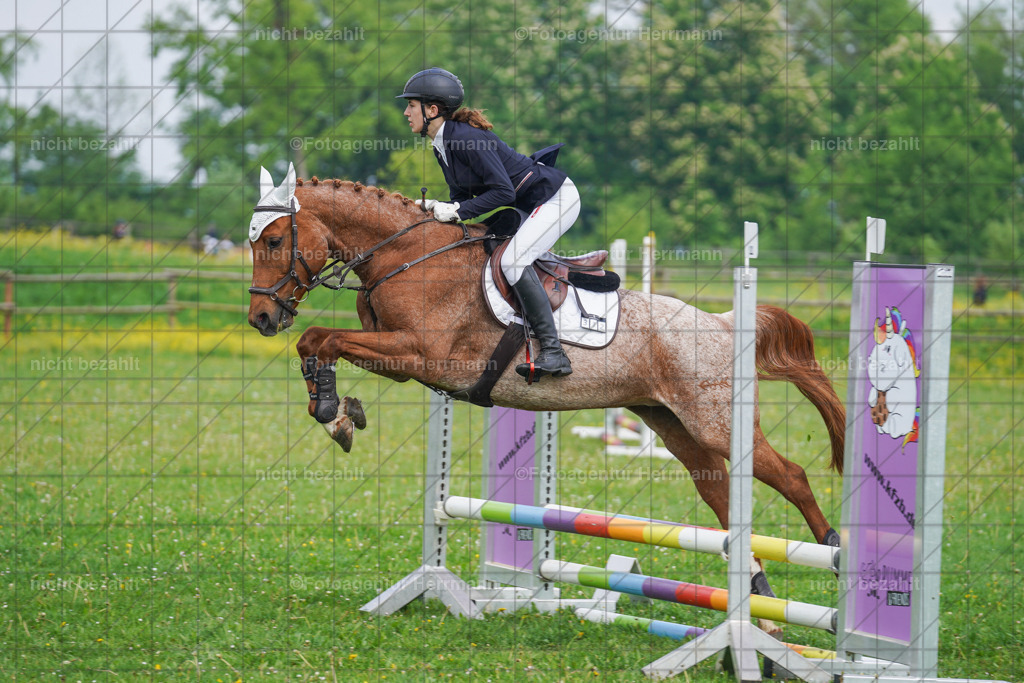 20240509-FAH02107 | Turnierbilder der Turnierfotografen Bayern, Pferdesport Fotografie, Reitsportbilder, Turnier Landberg am Lech, Turnierbilder bayern, Fotoagentur Herrmann