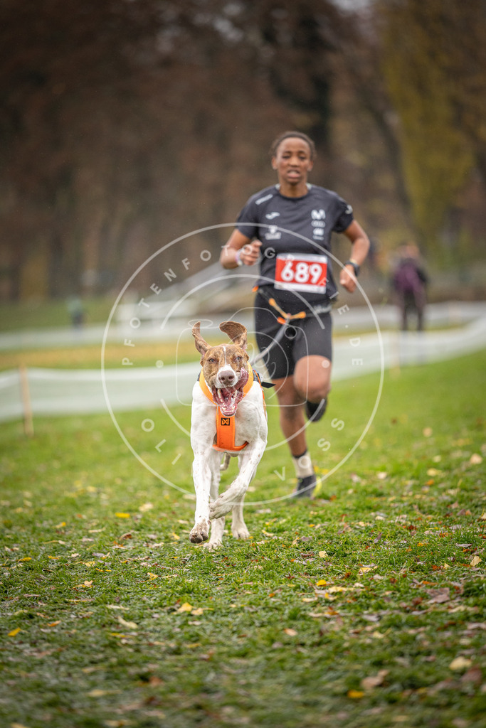 CaniXpix_DV3A8954 | Hundefotografie, Tierfotograf, Pfotenfotografie, Fotoshooting Hund, Hunde Portrait, Hundesport, Hundeportraits, Heideshooting, Hunde, Sportfotograf, Hundefotograf, Turnierhundsport, THS,  - Realisiert mit Pictrs.com