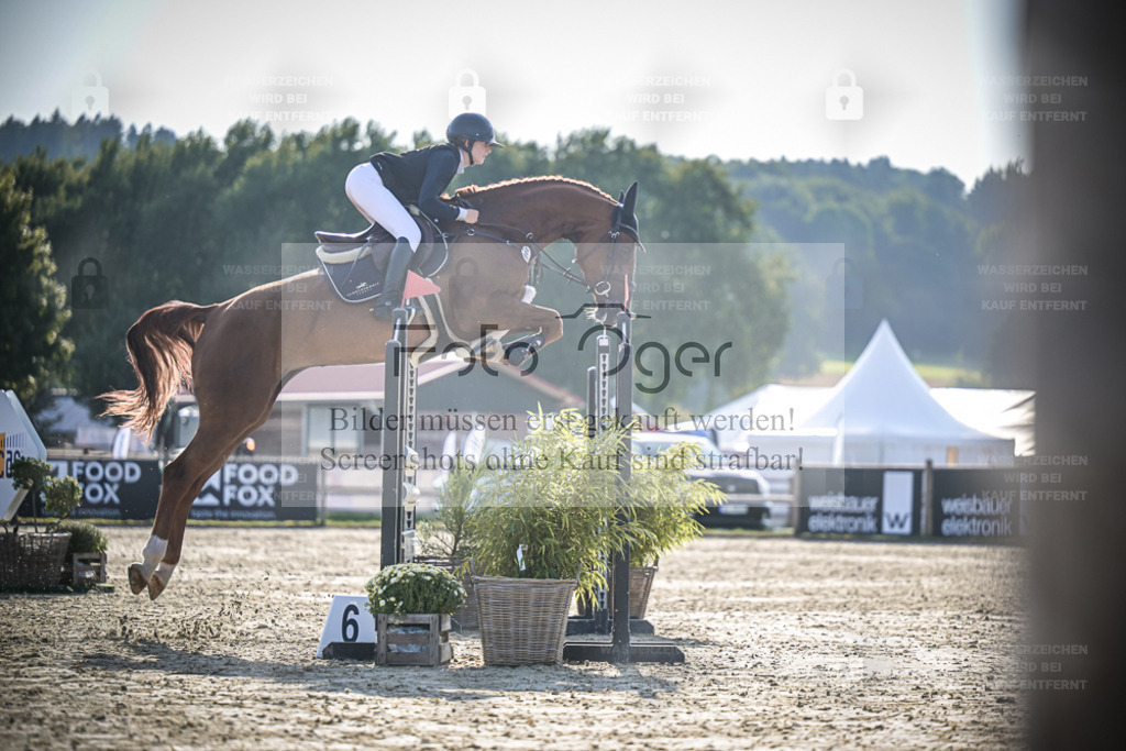 DOS_1081 | Entdecke hochwertige Reitturnierfotos von Foto Oger. Professionell, emotional und authentisch – jetzt Lieblingsmomente im Shop bestellen. - Realisiert mit Pictrs.com