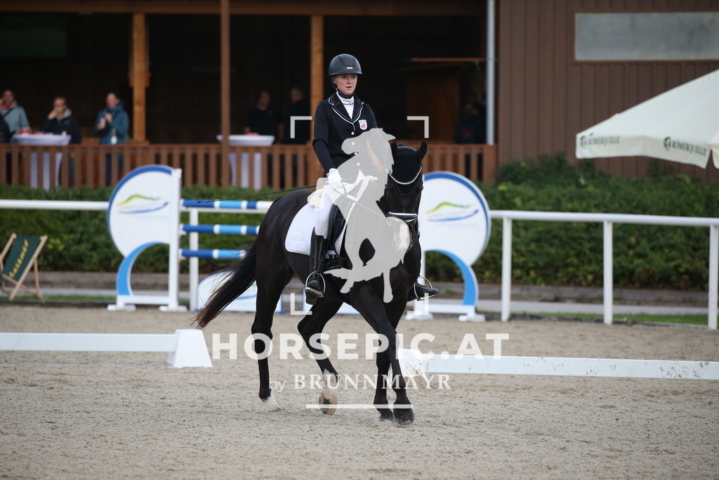 DL2Q1293 | Willkommen bei Brunnmayr - Design & Fotografie – Ihrem Spezialisten für Reitturniere und Pferdeveranstaltungen in Oberösterreich, Salzburg und Bayern! Seit über 17 Jahren sind wir leidenschaftlich dabei.