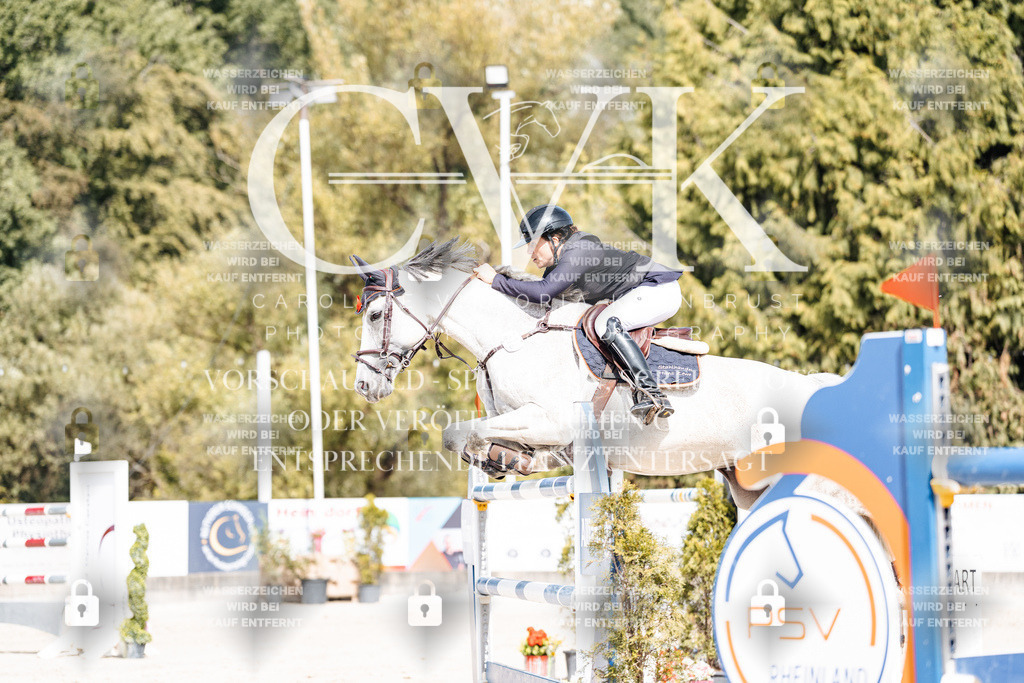 CK905275 | Turnierfotografie Pferdefotografie Trier Rheinland-Pfalz Pferdesport Reitsport Tierfotografie Sportfotografie Pferdevideo Pferdevideografie Equestrianvideography equestrianphotography  - Realisiert mit Pictrs.com