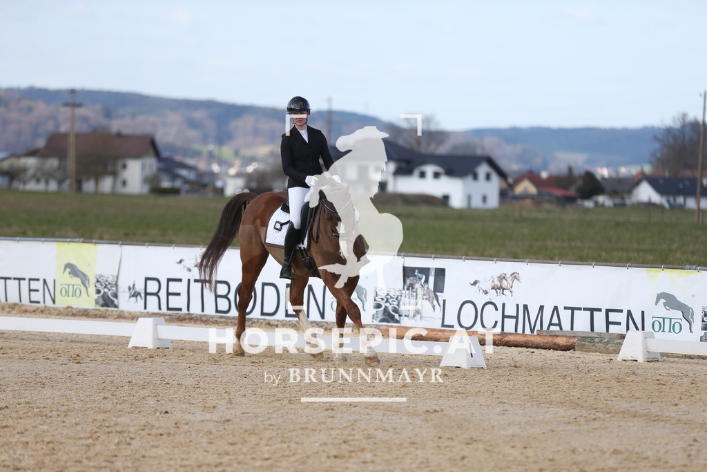 AS8V1946 | Willkommen bei Brunnmayr - Design & Fotografie – Ihrem Spezialisten für Reitturniere und Pferdeveranstaltungen in Oberösterreich, Salzburg und Bayern! Seit über 17 Jahren sind wir leidenschaftlich dabei.