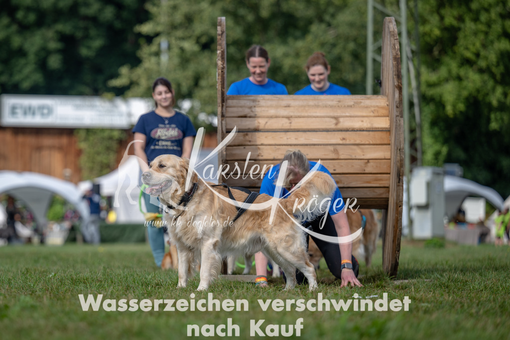 1039_ZZ92931 | kk-dogfotos