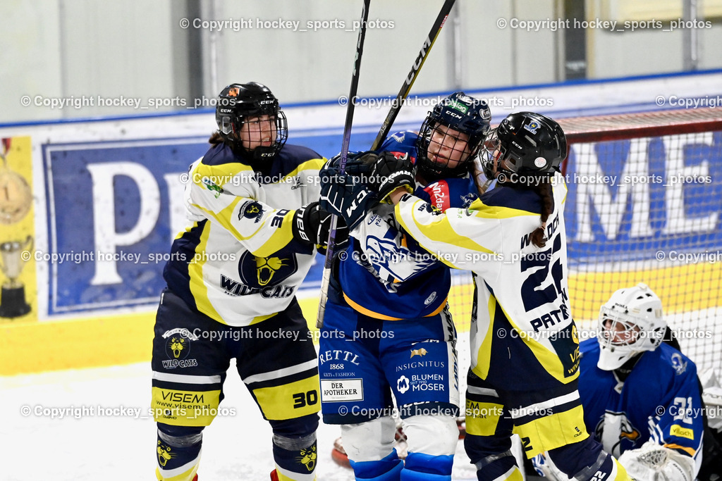 LADY HAWKS vs. WILDCATS PATERNION | #30 Sauerbier Dana Kiara WILDCATS PATERNION, #8 Pack Lara LADY HAWKS, #22 Oberrauner Franziska WILDCATS PATERNION, #32 Prasser Hannah Sophie LADY HAWKS, LADY HAWKS vs. WILDCATS PATERNION, LADY HAWKS vs. WILDCATS PATERNION am 12.03.2025 in Steindorf (Ossiachersee Halle), Austria, (Photo by Bernd Stefan)