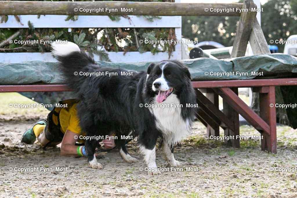 DSC_3557 | Hallo und herzlich Willkommen auf meiner Shop-Seite Fynn Most.

Ich wünsche Dir viel Spaß beim stöbern durch die Bilder, wenn Du Fragen hast oder Bilder vermisst, kannst du mir gerne eine Nachricht schreiben. - Realisiert mit Pictrs.com