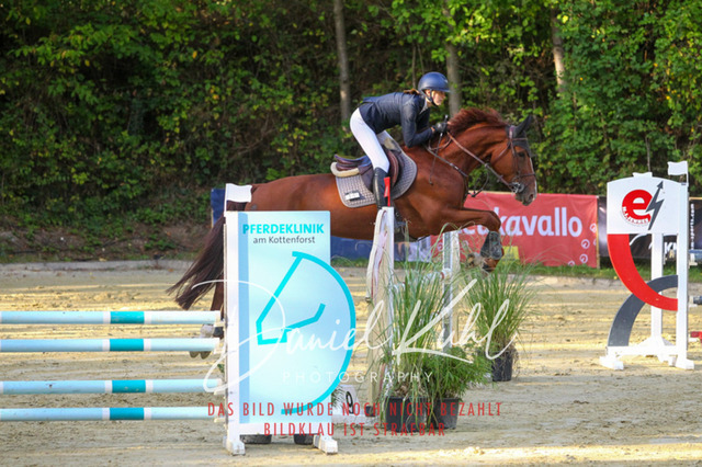 DKP42653 | Turniersportfotografie; Pferdefotografie; Dressurfotografie