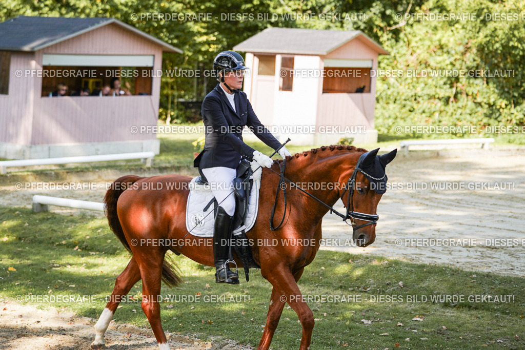 DSC08428 | Pferdegrafie