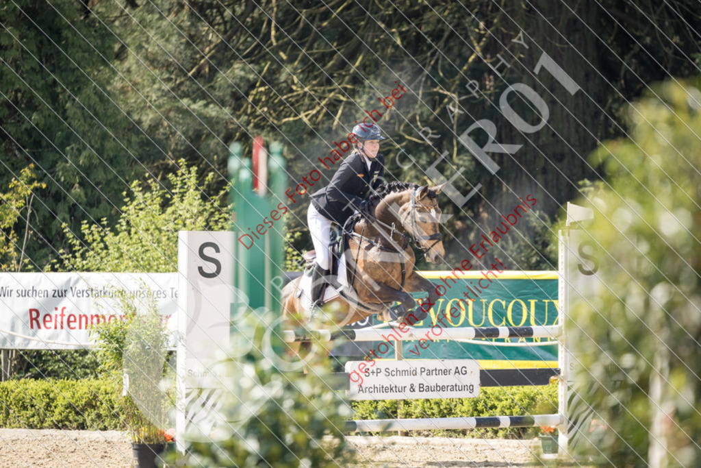 CON_0404 | Sport-, Event- und Tierfotos in Profiqualität. Einfach auswählen, bestellen und herunterladen. Dein Moment – perfekt festgehalten.