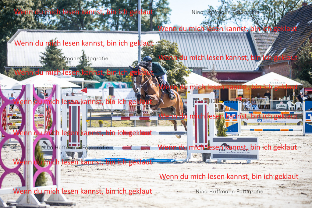 BK1A6256 | Turnierbilder Turnierfotos Nina Hüffmann Turnierfotografie Pferdefotografie Tierzeichnung Haustierzeichnung Pferdezeichnung Hundezeichnung Videograf  - Realisiert mit Pictrs.com