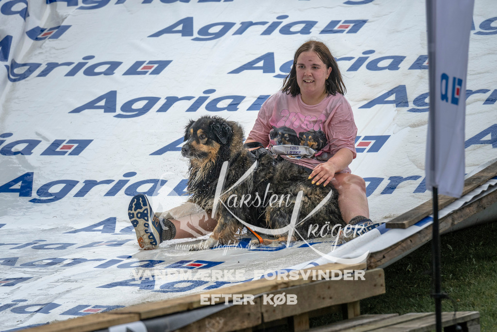 1512_ZZ93937 | kk-dogfotos