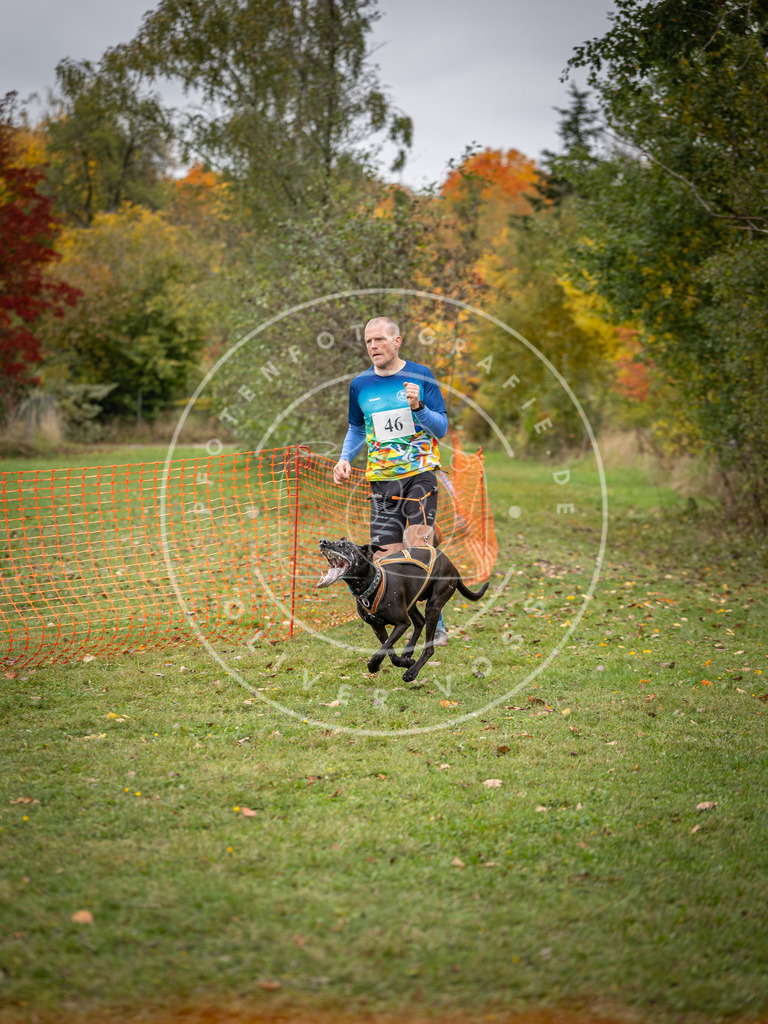 Pfotenfotografie_DV3A2401 | Hundefotografie, Tierfotograf, Pfotenfotografie, Fotoshooting Hund, Hunde Portrait, Hundesport, Hundeportraits, Heideshooting, Hunde, Sportfotograf, Hundefotograf, Turnierhundsport, THS,  - Realisiert mit Pictrs.com