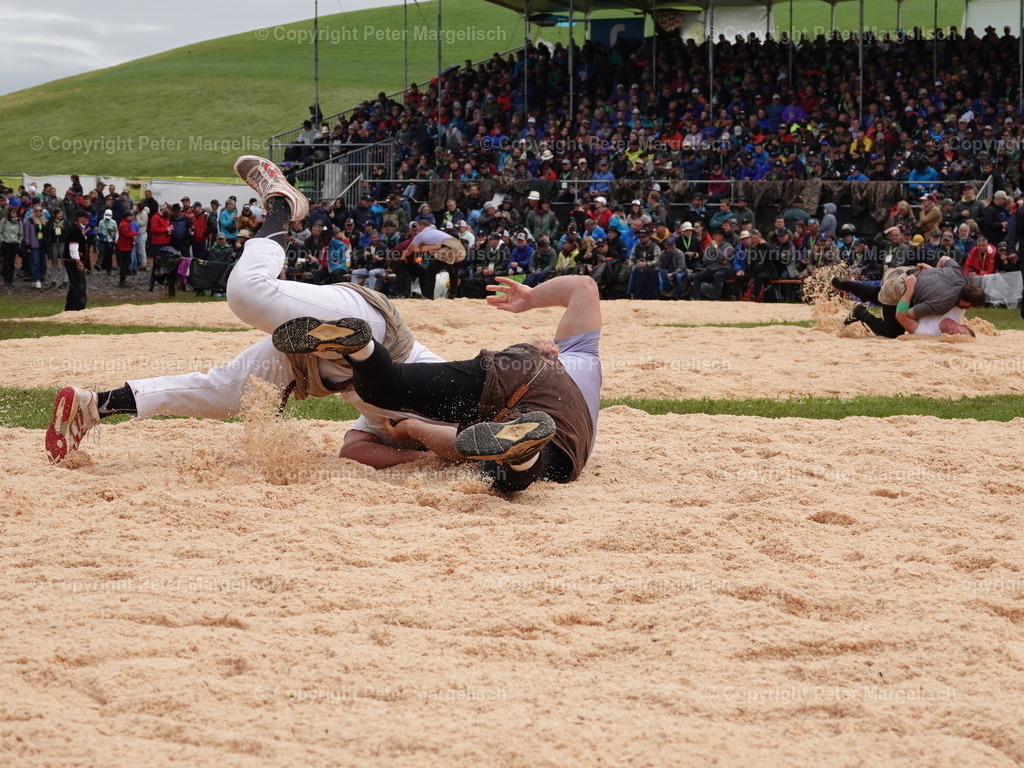 DSC07999 | Schwingen - Realisiert mit Pictrs.com