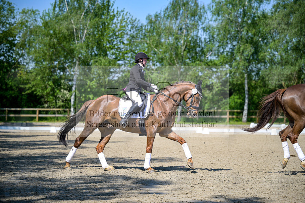 Reitturnier Lienen | Entdecke hochwertige Reitturnierfotos von Foto Oger. Professionell, emotional und authentisch – jetzt Lieblingsmomente im Shop bestellen. - Realisiert mit Pictrs.com