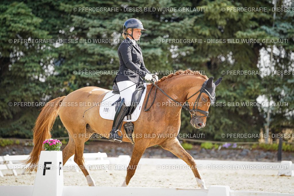 DSC06896 | Pferdegrafie