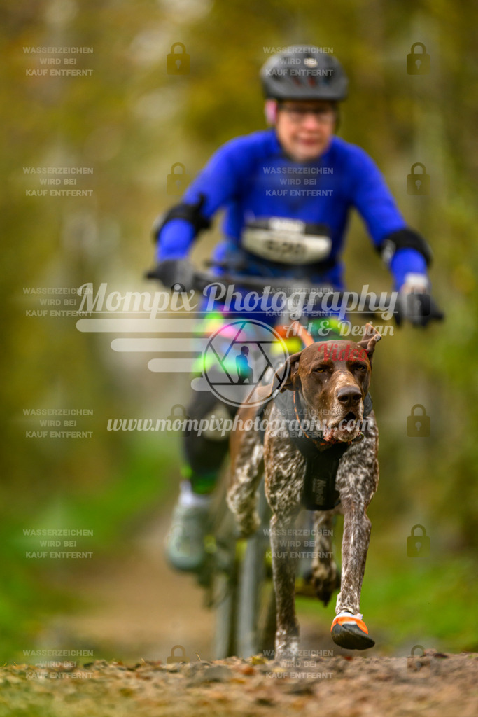 MompixPhotography_20TSB_E6_Bike-86 | PayLife