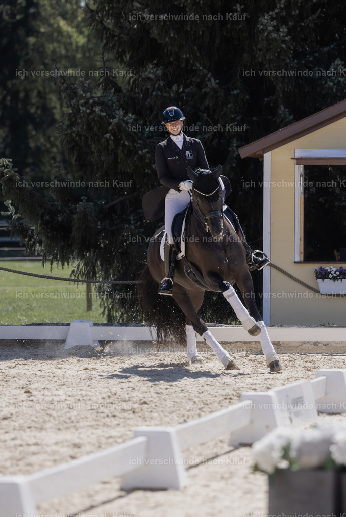 FHC2026_P12_Siegerehrung_19640 | working equitationturnier fotograf videograf stoibphotography marixx film working equitation deutschland reitsport turnierfotografie eventfotografie equestrian events