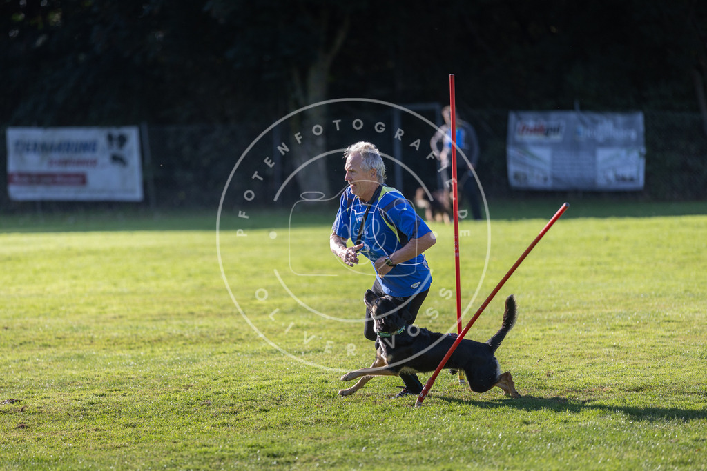 Pfotenfotografie.de_DV3A3349 | Hundefotografie, Tierfotograf, Pfotenfotografie, Fotoshooting Hund, Hunde Portrait, Hundesport, Hundeportraits, Heideshooting, Hunde, Sportfotograf, Hundefotograf, Turnierhundsport, THS, canicross - Realisiert mit Pictrs.com