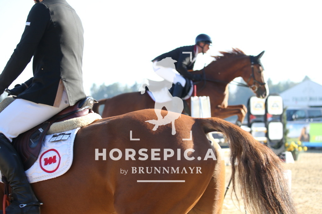 DL2Q1015 | Willkommen bei Brunnmayr - Design & Fotografie – Ihrem Spezialisten für Reitturniere und Pferdeveranstaltungen in Oberösterreich, Salzburg und Bayern! Seit über 17 Jahren sind wir leidenschaftlich dabei.