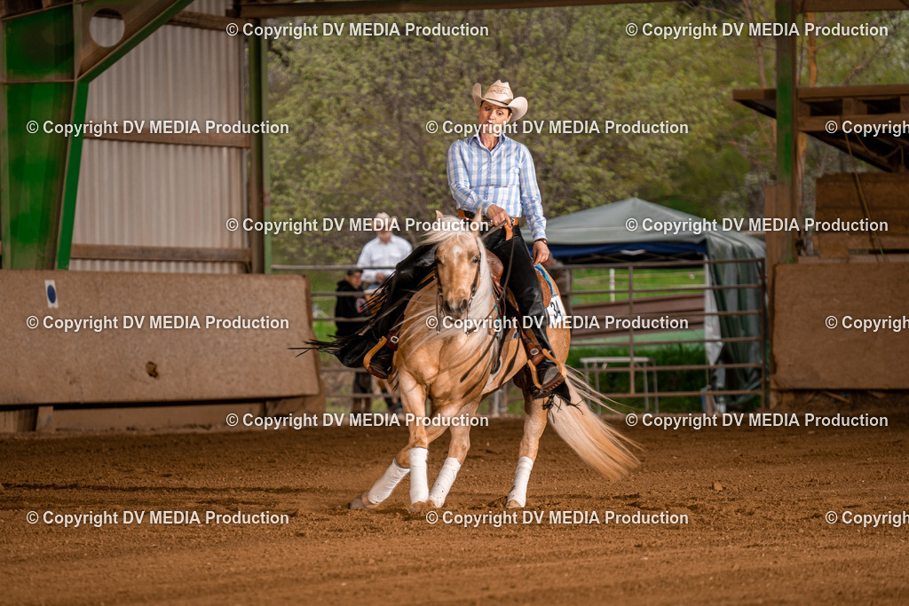 BA301258 | dv-media-shop - Realisiert mit Pictrs.com