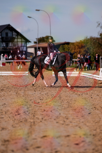 2026_10_03_Siefer-Hof_121411_Z81_15693710 | Professionelle Reitsport-, Turnier- und Eventfotografie von Robert Broda. Galerien mit ausgewählten und bearbeiteten Bildern direkt online ansehen und bestellen.