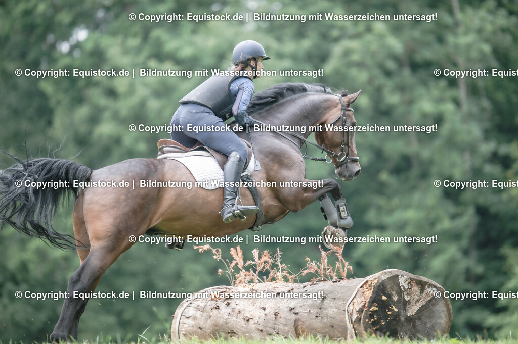 20250726_Vielseitigkeitslehrgang-Marbach_0808 | Foto: Thomas Hartig