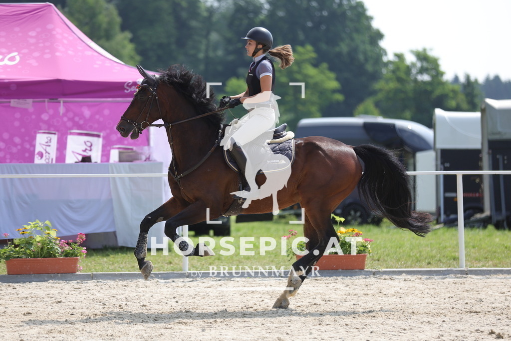 0P6A8629 | Willkommen bei Brunnmayr - Design & Fotografie – Ihrem Spezialisten für Reitturniere und Pferdeveranstaltungen in Oberösterreich, Salzburg und Bayern! Seit über 17 Jahren sind wir leidenschaftlich dabei.