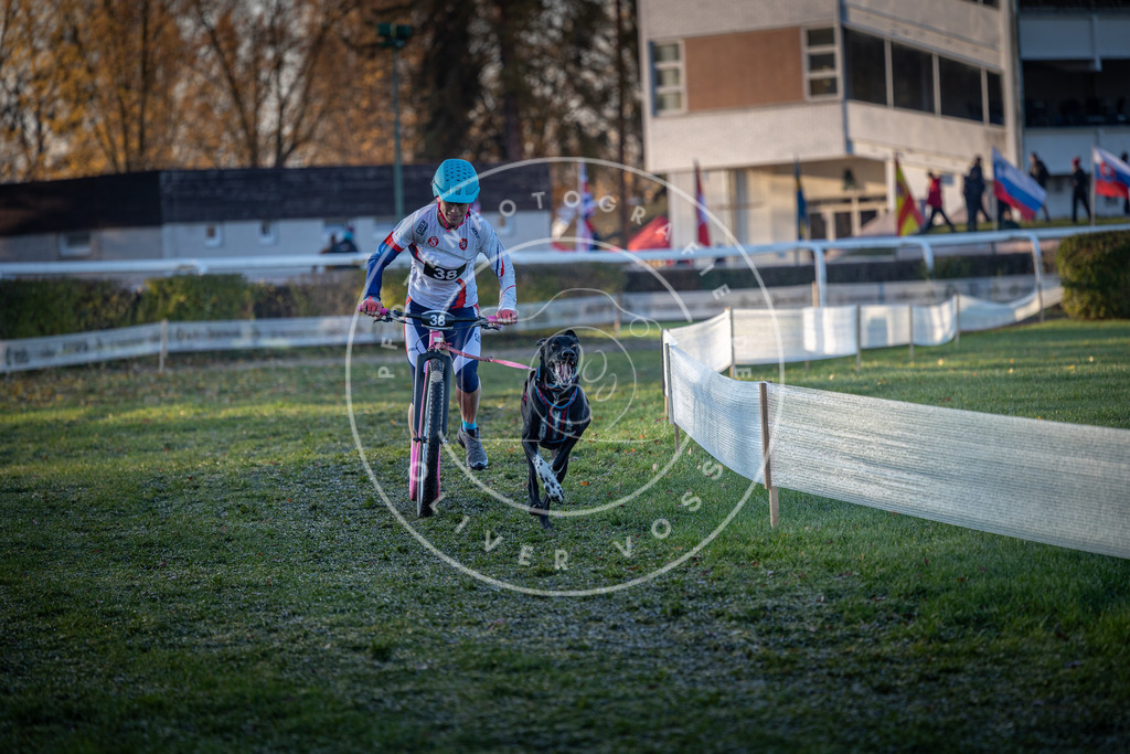 CaniXpix_0L8A1858 | Hundefotografie, Tierfotograf, Pfotenfotografie, Fotoshooting Hund, Hunde Portrait, Hundesport, Hundeportraits, Heideshooting, Hunde, Sportfotograf, Hundefotograf, Turnierhundsport, THS,  - Realisiert mit Pictrs.com