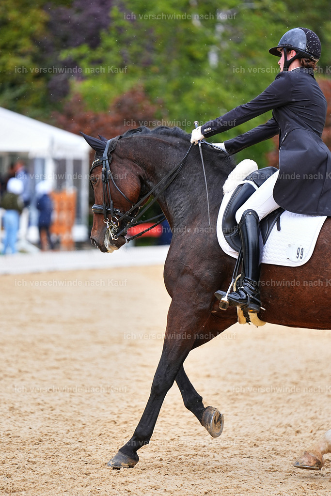 8_1-099-Klasse S_  -Marixx-4189 | working equitationturnier fotograf videograf stoibphotography marixx film working equitation deutschland reitsport turnierfotografie eventfotografie equestrian events