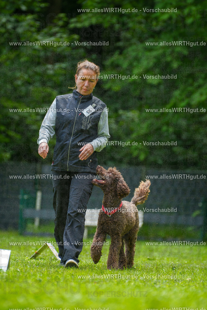 @allesWIRTHgut_Tierfotografie - www.allesWIRTHgut.de - 7R501096 | Professionelle Tierfotografie in Mönchengladbach von Daniel Wirth (allesWIRTHgut). Liebevolle & natürliche Bilder von Hunden & Katzen für unvergessliche Erinnerungen.