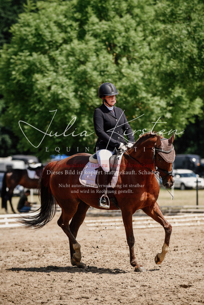 DSC_1303 | Pferde- und Turnierfotografie in Westsachsen. Pferdeportraits, Auftragszeichnungen und intuitive Kunst.