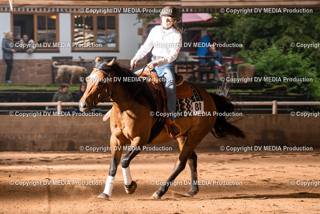 Erbach Tag 3-822 | dv-media-shop - Realisiert mit Pictrs.com