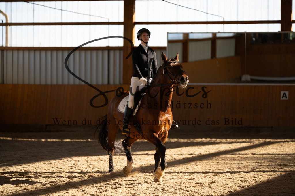 A7V01760 | Turnier/Reitfotograf