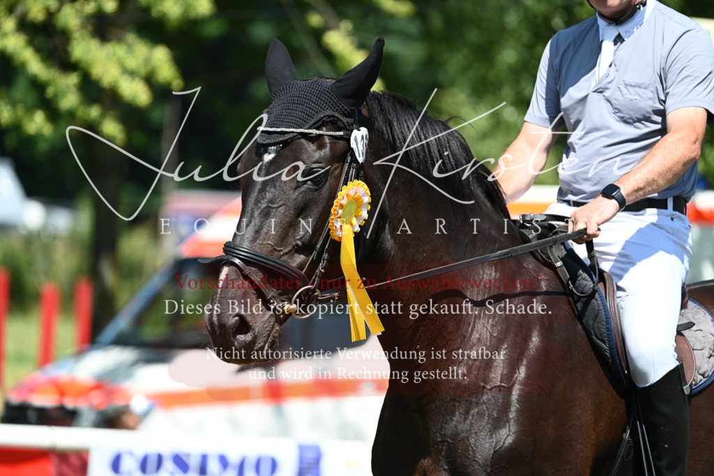 DSC_0898 | Pferde- und Turnierfotografie in Westsachsen. Pferdeportraits, Auftragszeichnungen und intuitive Kunst.