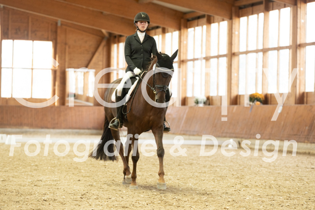 IMG_2011 | Creatify Fotografie