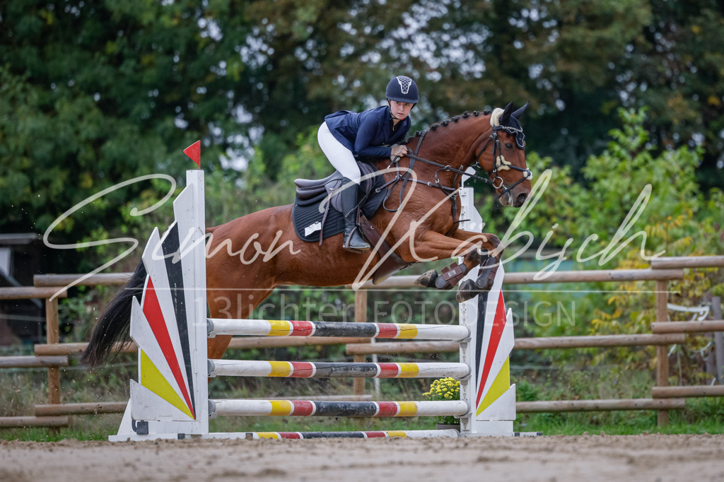 20251012-_3LI3306 | Tierfotografie Pferde, Hunde, Katzen, Haustiere.
Turnierfotografie Reitturniere, Reiten, Springreiten, Dressur in Hanau, dem Main-Kinzig-Kreis und dem Rhein-Main- Gebiet um Frankfurt