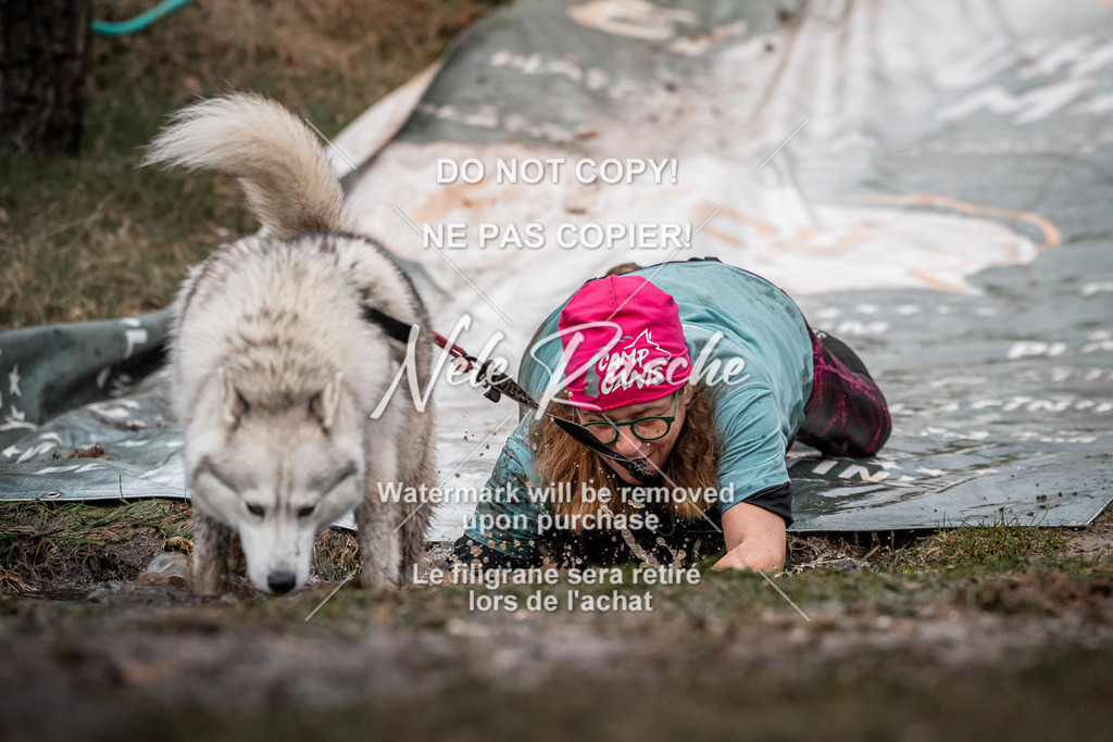 nelerasche_1330-1400_47 | nelerasche