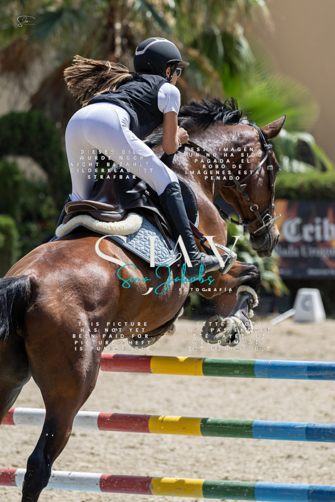 IMG_8067 | s-jay-photography - Realisiert mit Pictrs.com