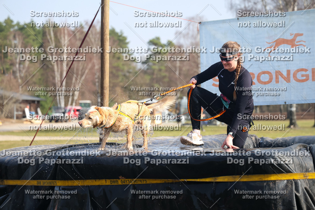 Dog Paparazzi - Strongdog North Mrz26-1731 | Dog Paparazzi Jeanette Grottendiek Fotografie & Videografie - Realisiert mit Pictrs.com