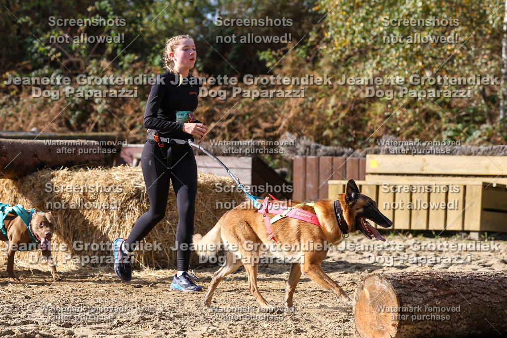 Dog Paparazzi - Strongdog 10-25-5248 | Dog Paparazzi Jeanette Grottendiek Fotografie & Videografie - Realisiert mit Pictrs.com