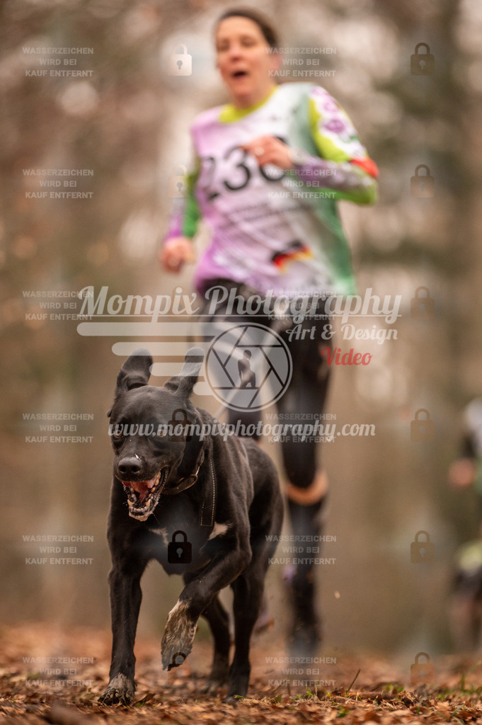 AKM_ST_2023_SAM_Run-63 | PayLife