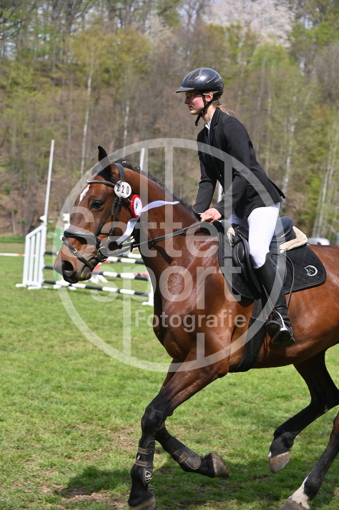 DSC_1967 | sattelsport - Realisiert mit Pictrs.com