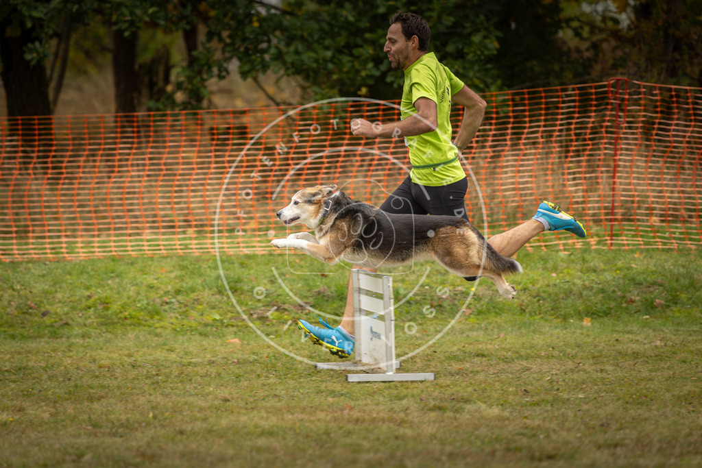 Pfotenfotografie_DV3A5679 | Hundefotografie, Tierfotograf, Pfotenfotografie, Fotoshooting Hund, Hunde Portrait, Hundesport, Hundeportraits, Heideshooting, Hunde, Sportfotograf, Hundefotograf, Turnierhundsport, THS,  - Realisiert mit Pictrs.com