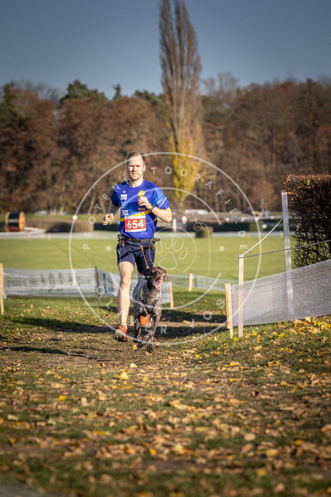 CaniXpix_DV3A0548 | Hundefotografie, Tierfotograf, Pfotenfotografie, Fotoshooting Hund, Hunde Portrait, Hundesport, Hundeportraits, Heideshooting, Hunde, Sportfotograf, Hundefotograf, Turnierhundsport, THS,  - Realisiert mit Pictrs.com