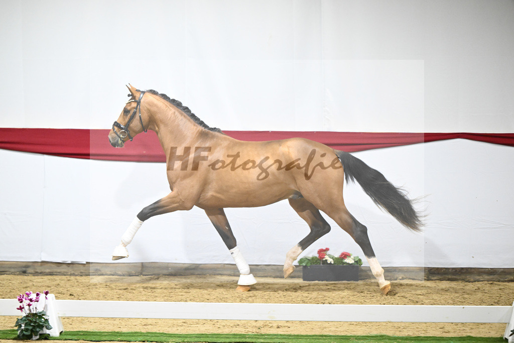 Kat-Nr. 54 v. Vaderland_Rakelbusch_63221574 | hf-fotografie - Realizzato con Pictrs.com