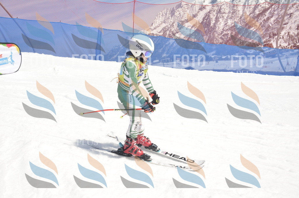 _ELE9618 | holidayphoto