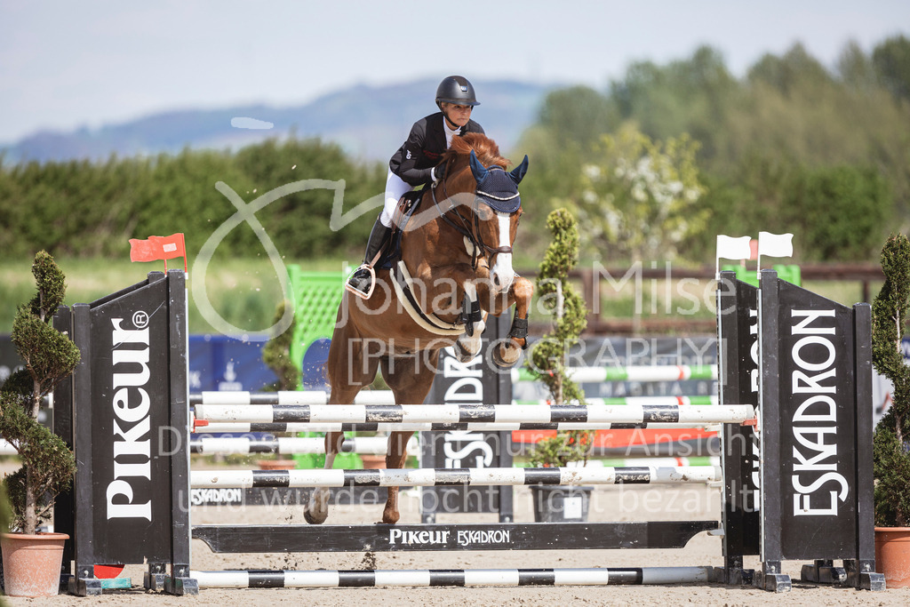 250419_Frühlingsfest_Stil-A2-2-616 | Deine schönsten Turniermomente als professionelle Fotos! Entdecke hochwertige Pferdesport-Fotografie im Online-Shop. Jetzt Fotos finden & bestellen!