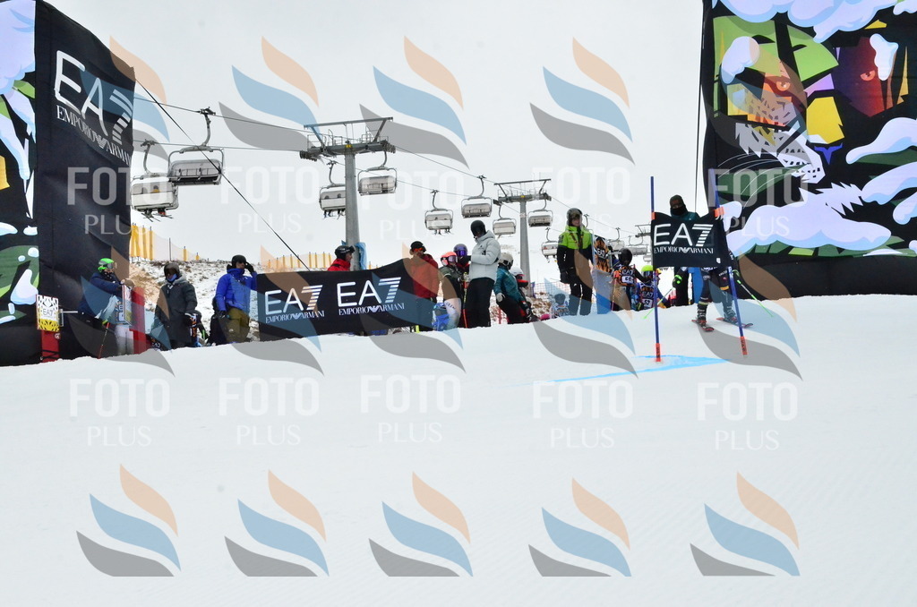 _ELE3371 | holidayphoto