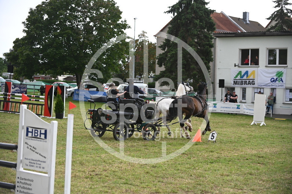 DSC_8526 | sattelsport - Realisiert mit Pictrs.com