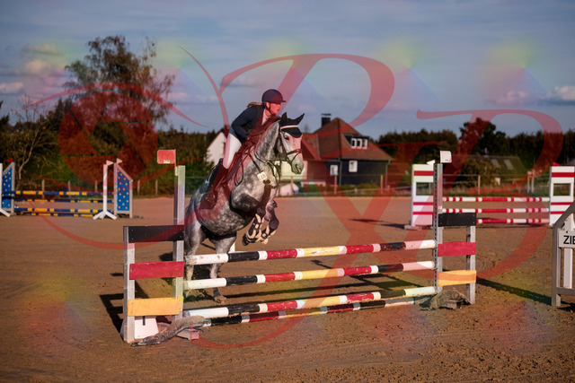 2026_10_03_Siefer-Hof_171341_Z81_10588197 | Professionelle Reitsport-, Turnier- und Eventfotografie von Robert Broda. Galerien mit ausgewählten und bearbeiteten Bildern direkt online ansehen und bestellen.